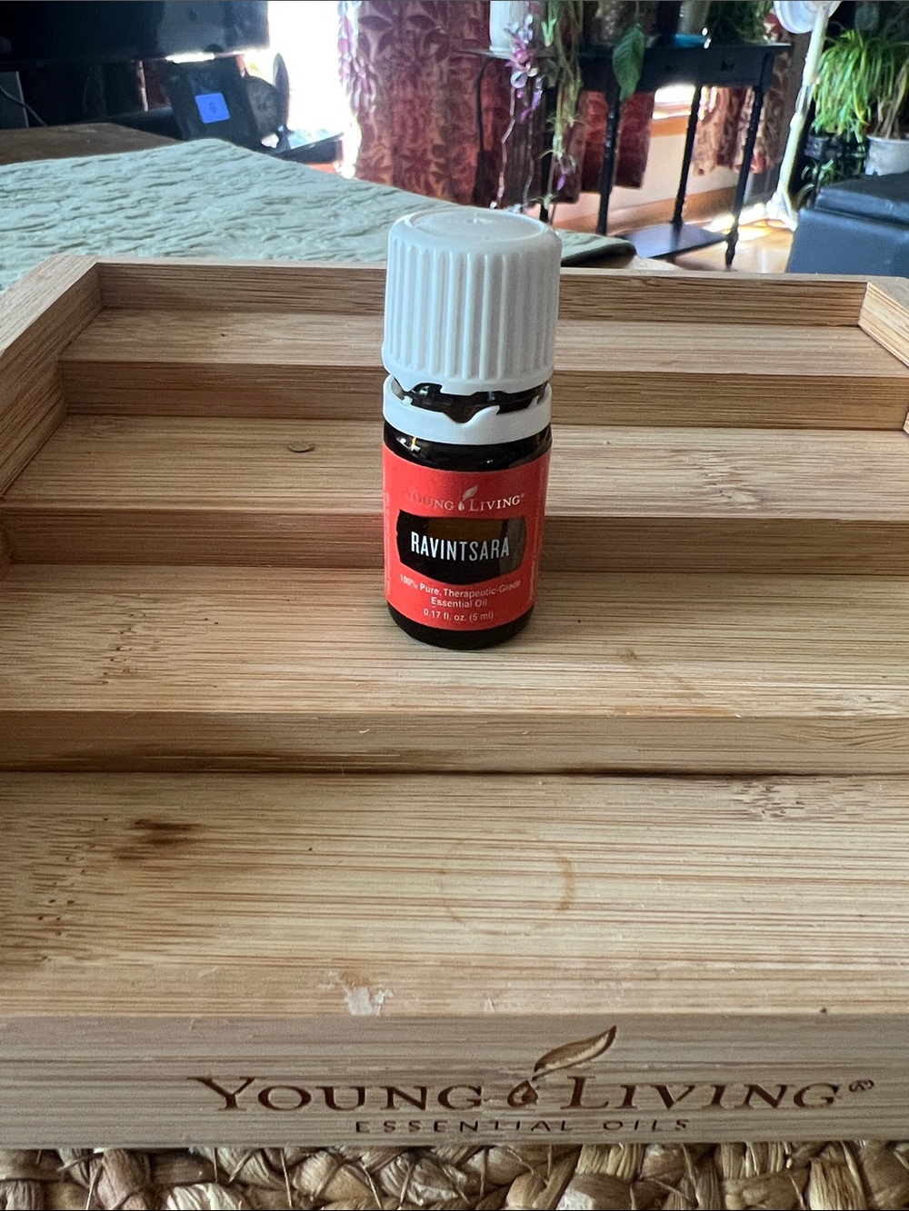 Young Living Ravintsara Essential Oil - Red Label Bottle